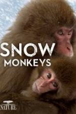 Watch Nature: Snow Monkeys Niter