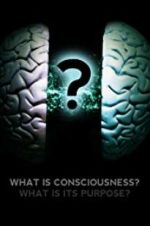 Watch What Is Consciousness? What Is Its Purpose? Niter