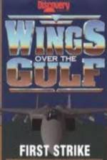 Watch Wings Over the Gulf Vol  1  First Strike Niter