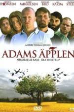 Watch Adams æbler Niter