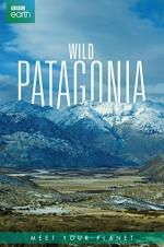 Watch Wild Patagonia Niter