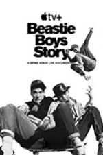 Watch Beastie Boys Story Niter