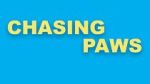 Watch Chasing Paws (Short 2020) Niter