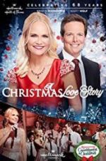 Watch A Christmas Love Story Niter