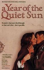 Watch A Year of the Quiet Sun Niter