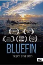 Watch Bluefin Niter