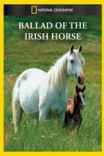 Watch Ballad of the Irish Horse Niter