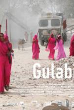 Watch Gulabi Gang Niter
