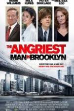 Watch The Angriest Man in Brooklyn Niter