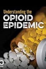 Watch Understanding the Opioid Epidemic Niter