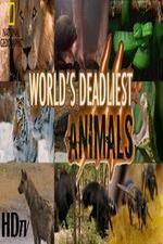 Watch National Geographic - Worlds Deadliest Animal Battles Niter