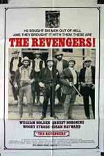 Watch The Revengers Niter