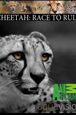 Watch Cheetah: Race to Rule Niter