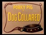 Watch Dog Collared (Short 1950) Niter