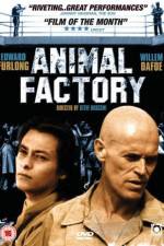 Watch Animal Factory Niter