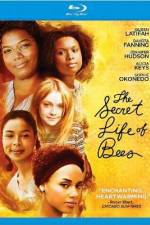Watch The Secret Life of Bees Niter