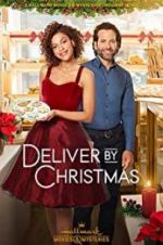 Watch Deliver by Christmas Niter