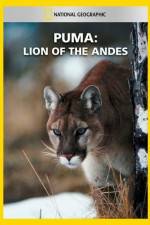 Watch National Geographic  Puma: Lion of the Andes Niter