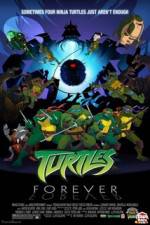 Watch Teenage Mutant Ninja Turtles Turtles Forever Niter