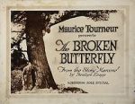 Watch The Broken Butterfly Niter