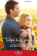 Watch Tulips in Spring Niter