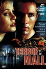 Watch Terror in the Mall Niter
