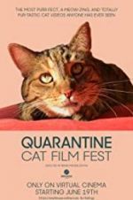 Watch Quarantine Cat Film Fest Niter