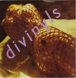 Watch Divinyls: I Touch Myself Niter