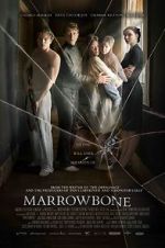 Watch The Secret of Marrowbone Niter