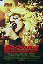 Watch Hedwig and the Angry Inch Niter