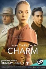 Watch Love Finds You in Charm Niter