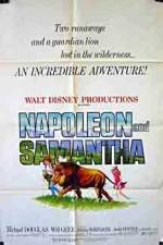 Watch Napoleon and Samantha Niter