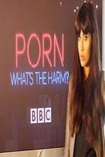 Watch Porn Whats The Harm Niter
