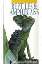 Watch Reptiles and Amphibians Niter