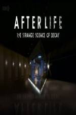 Watch After Life: The strange Science Of Decay Niter