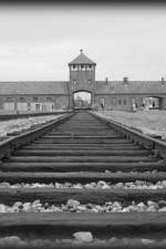 Watch AUSCHWITZ: ORDERS AND INITIATIVES Niter