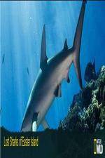 Watch National Geographic Wild - Lost Sharks of Easter Island Niter