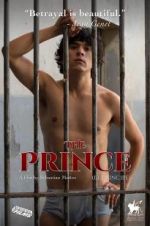 Watch The Prince Niter