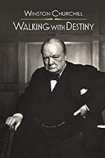 Watch Winston Churchill: Walking with Destiny Niter