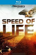 Watch Speed of Life Niter