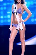 Watch 2010 Miss Universe Pageant Niter