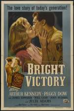 Watch Bright Victory Niter