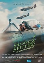 Watch The Shamrock Spitfire Niter
