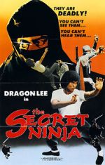 Watch Secret Ninja Niter