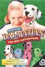 Watch Operation Dalmatian: The Big Adventure Niter