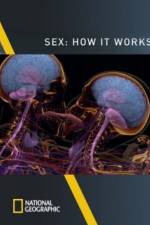 Watch Sex How It Works Niter