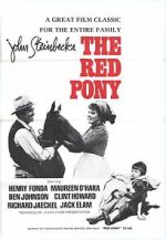 Watch The Red Pony Niter