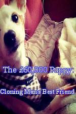 Watch The 60,000 Puppy: Cloning Man's Best Friend Niter