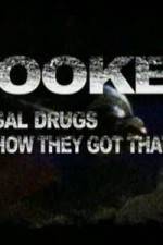 Watch Hooked Illegal Drugs & How They Got That Way - Opium Morphine and Heroin Niter