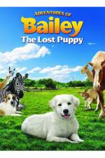Watch Adventures of Bailey The Lost Puppy Niter